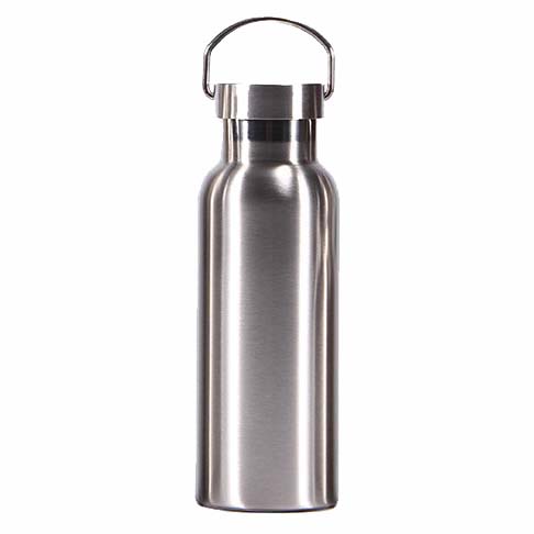 17 oz Stainless Bottle with Stainless Lid 1