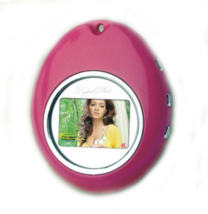 RSX10 Digital Photo Frame