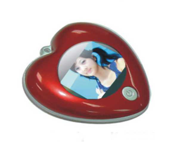 RSX21 Digital Photo Frame