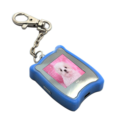 RSX28 Digital Photo Frame