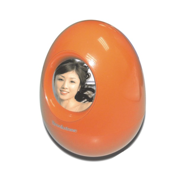 RSX29 Digital Photo Frame