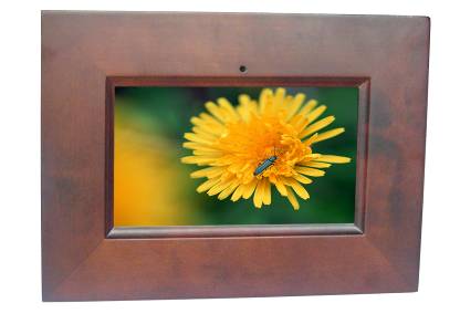 RSX41 Digital Photo Frame