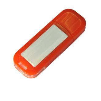 RMC123 USB Flash Drive