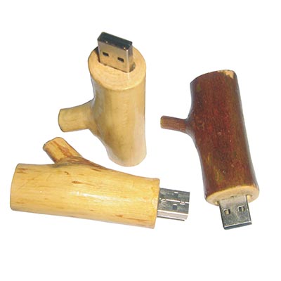 RMW06 Wood USB Flash Drive